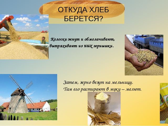 Презентация "Откуда хлеь на стол пришел?"