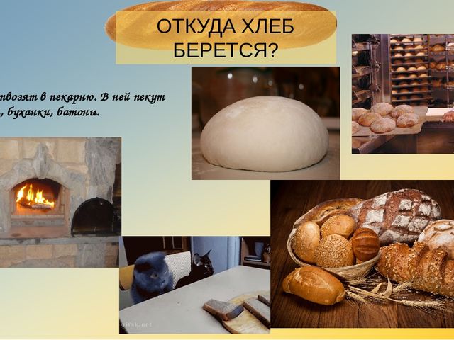 Презентация "Откуда хлеь на стол пришел?"