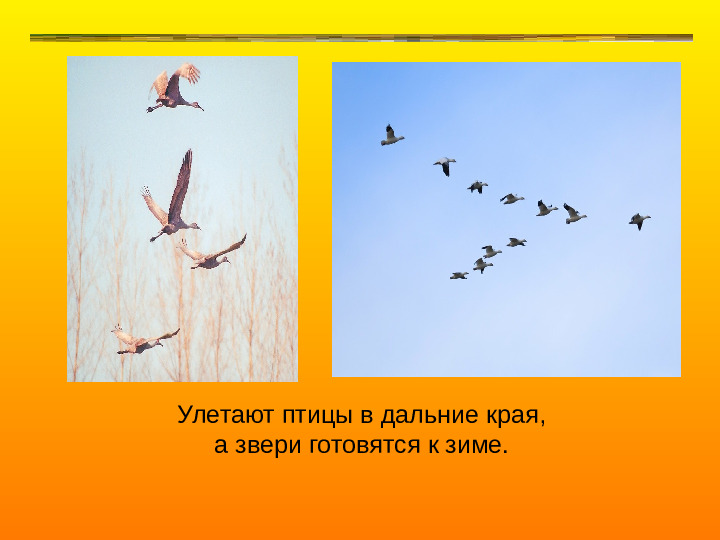 Презентация об осени с музыкой