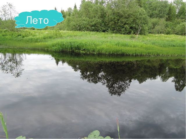 Презентация проекта "Река Унжа"