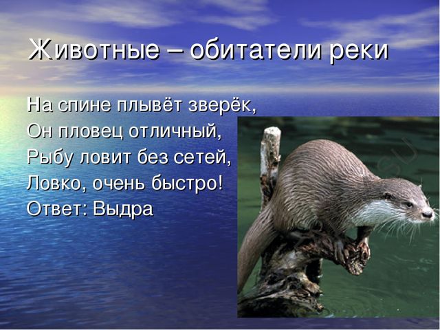 Презентация проекта "Река Унжа"