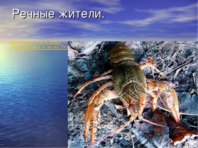 Презентация проекта "Река Унжа"