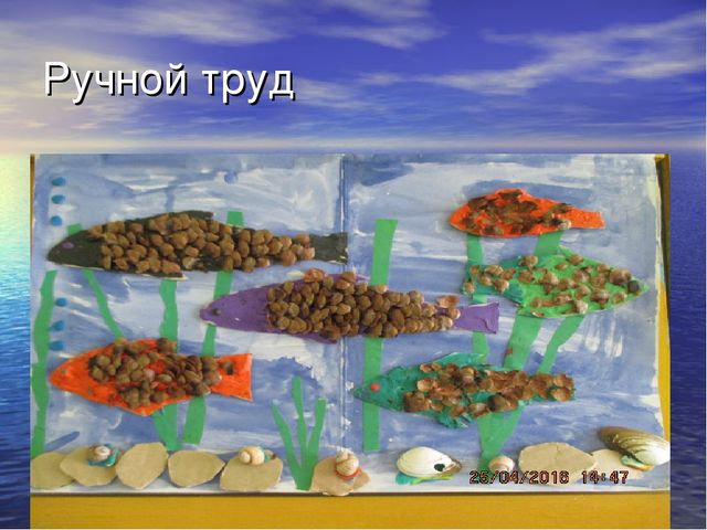 Презентация проекта "Река Унжа"