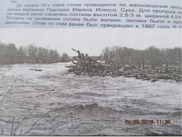 Презентация проекта "Река Унжа"