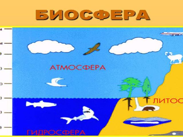 Презентация по экологическому развитию дошкольников " Оболочки Земли"