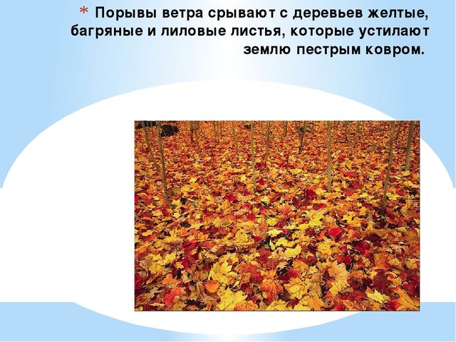 Презентация "Осень" для дошкольников
