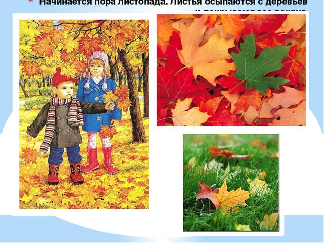 Презентация "Осень" для дошкольников