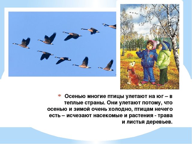 Презентация "Осень" для дошкольников