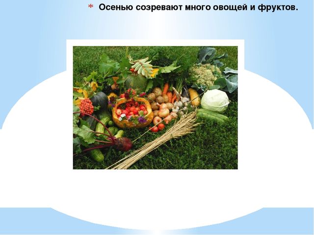 Презентация "Осень" для дошкольников