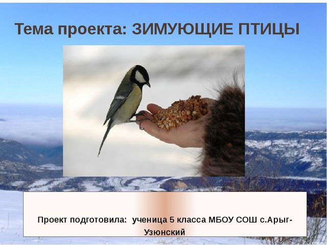 Презентация по окружающему миру Зимующие птицы