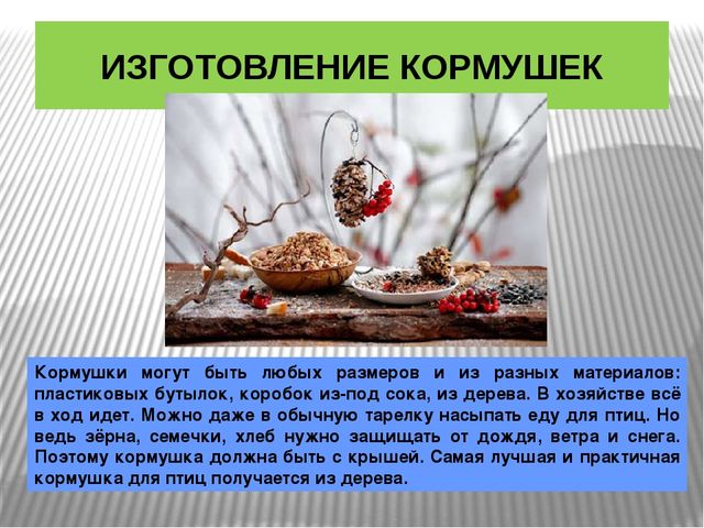 Презентация по окружающему миру Зимующие птицы
