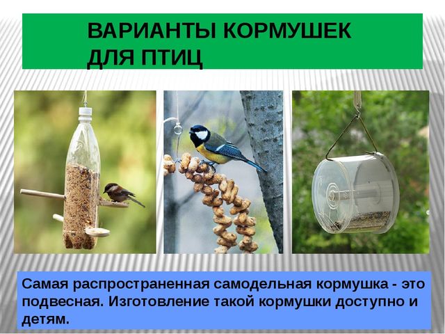 Презентация по окружающему миру Зимующие птицы
