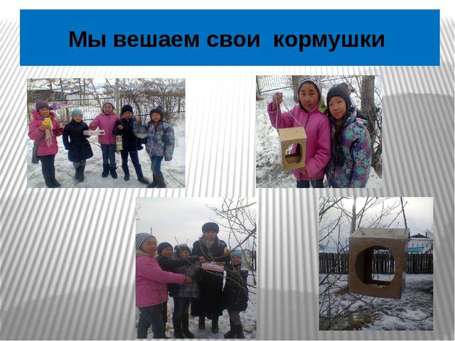 Презентация по окружающему миру Зимующие птицы