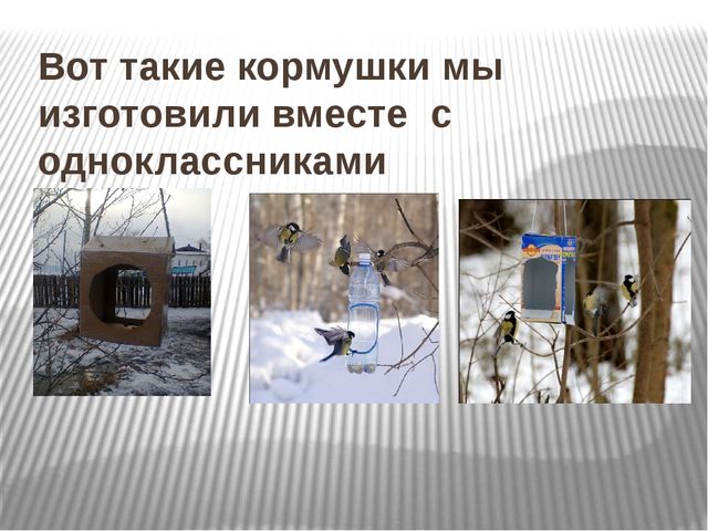 Презентация по окружающему миру Зимующие птицы