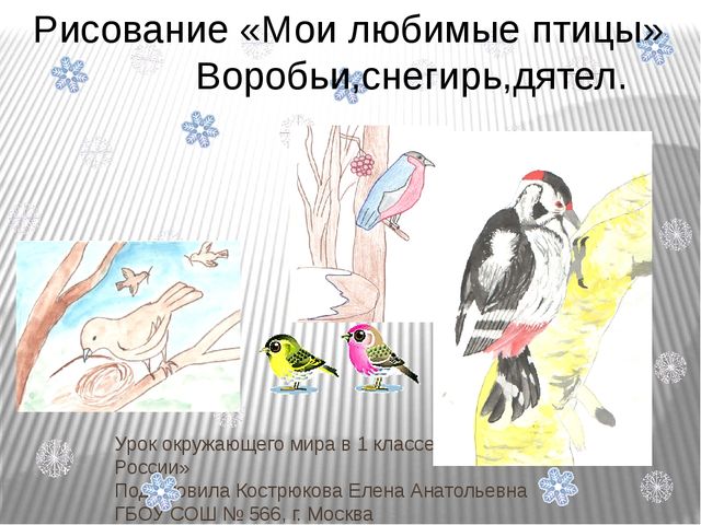 Презентация по окружающему миру Зимующие птицы
