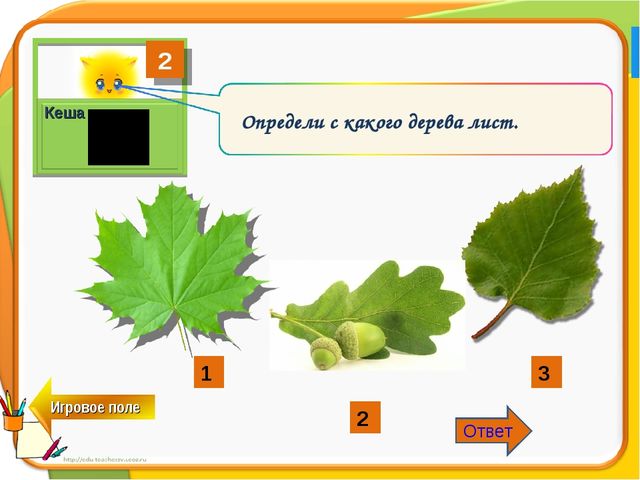 Интерактивная игра "Пушистики против дошколят" для детей старшего дошкольного возраста