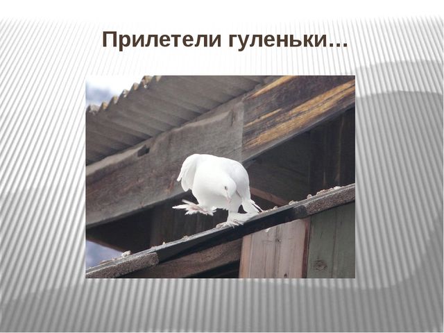 Информационный проект "Тайна русской колыбельной"