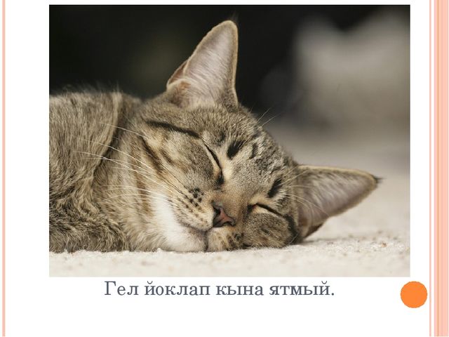 "Знакомим с животными" закрепление пройденного материала по обучению детей татарскому языку