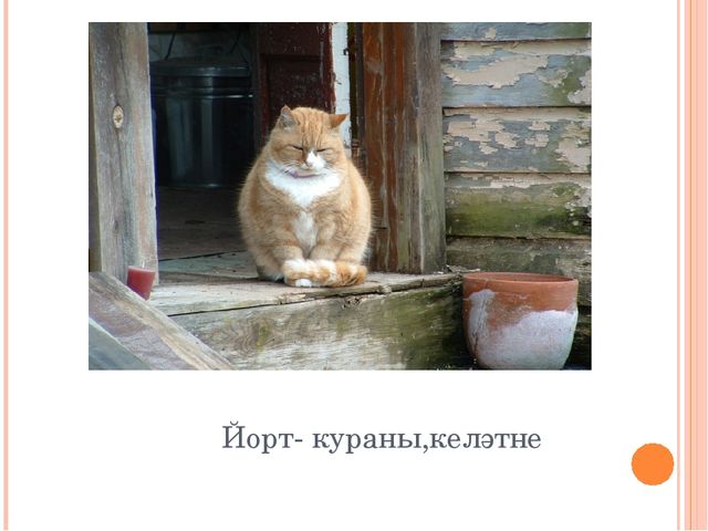 "Знакомим с животными" закрепление пройденного материала по обучению детей татарскому языку