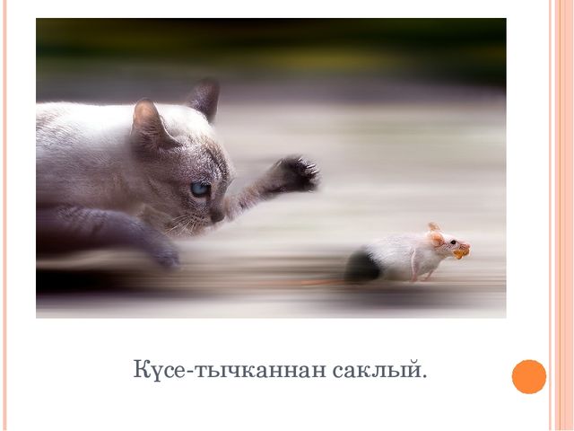 "Знакомим с животными" закрепление пройденного материала по обучению детей татарскому языку