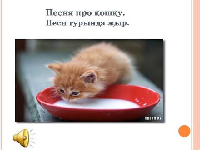 "Знакомим с животными" закрепление пройденного материала по обучению детей татарскому языку