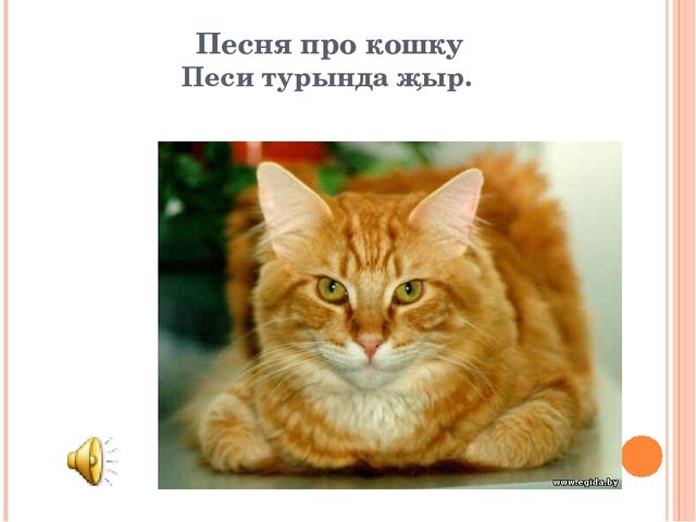 "Знакомим с животными" закрепление пройденного материала по обучению детей татарскому языку