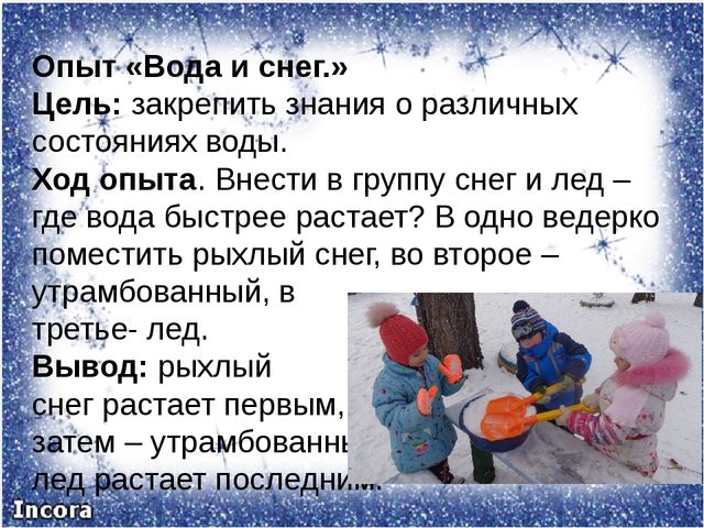 Презентация "Проект по экологии"
