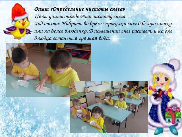 Презентация "Проект по экологии"