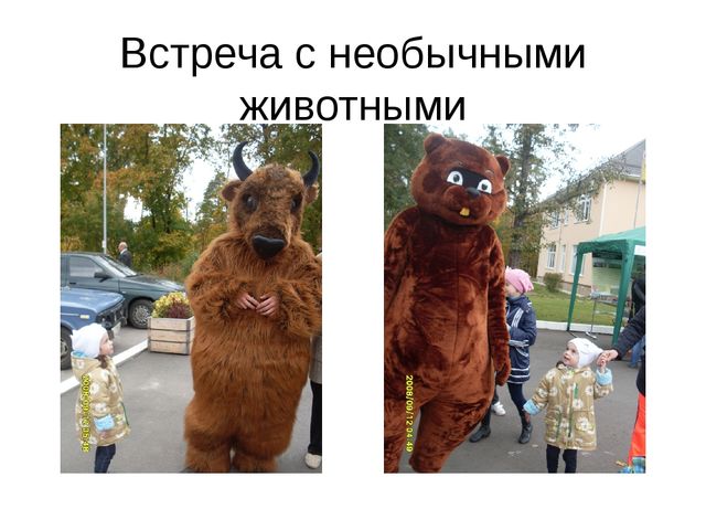 Презентация по экологическому воспитанию " Экологическая тропа"