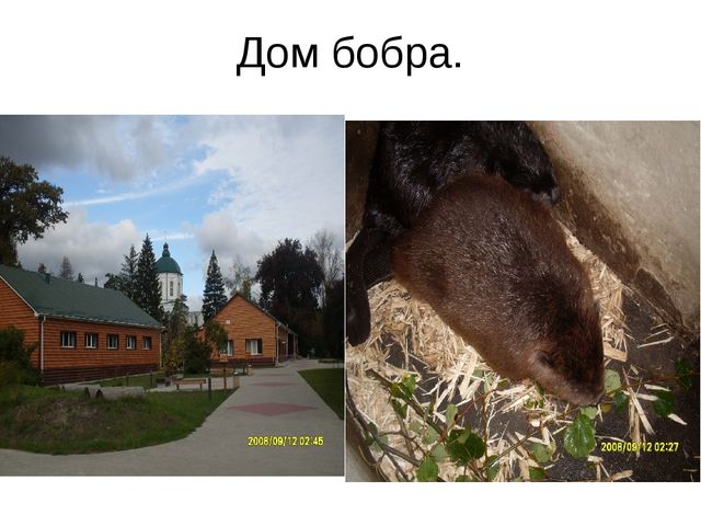 Презентация по экологическому воспитанию " Экологическая тропа"