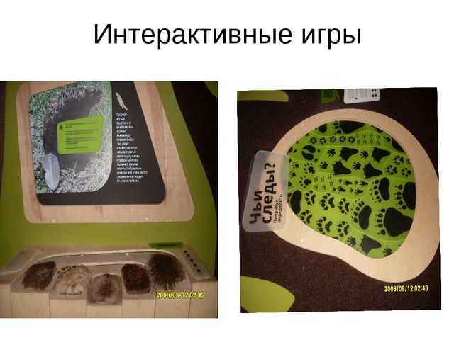 Презентация по экологическому воспитанию " Экологическая тропа"