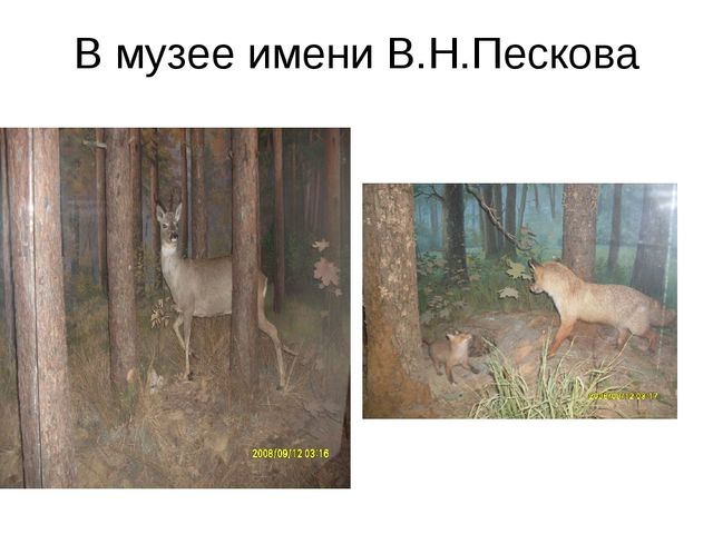 Презентация по экологическому воспитанию " Экологическая тропа"