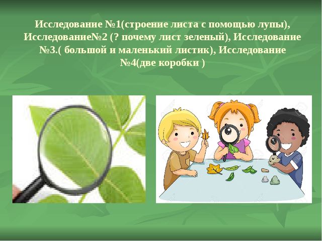 Презентация по познавательному развитию "Осень"