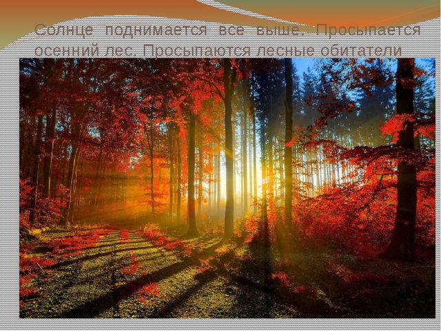 Презентация к занятию по логоритмике "В осеннем лесу"