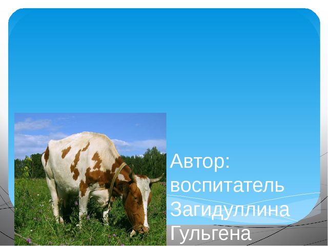 Презентация на тему "Домашние животные"