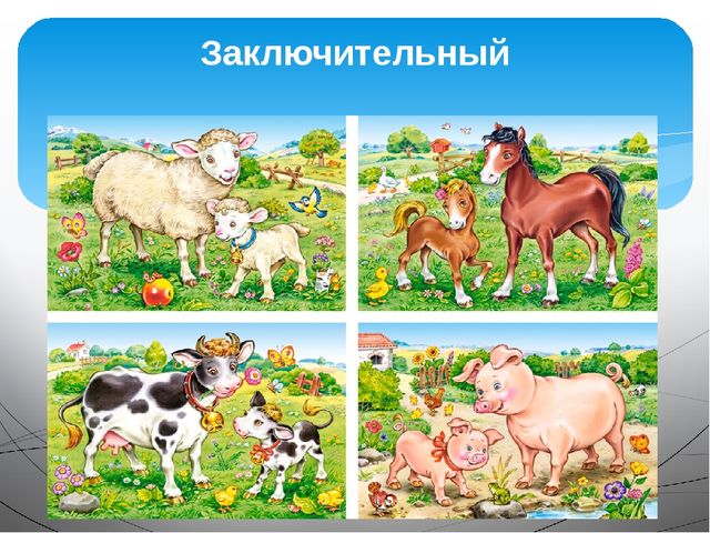 Презентация на тему "Домашние животные"