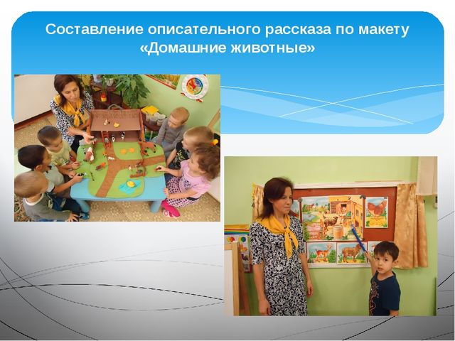Презентация на тему "Домашние животные"