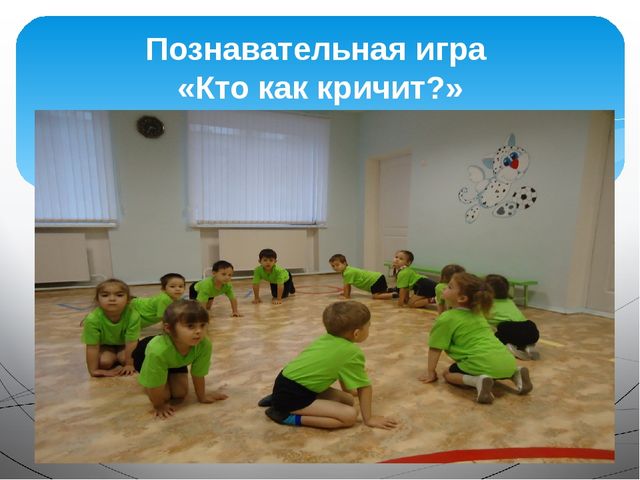 Презентация на тему "Домашние животные"