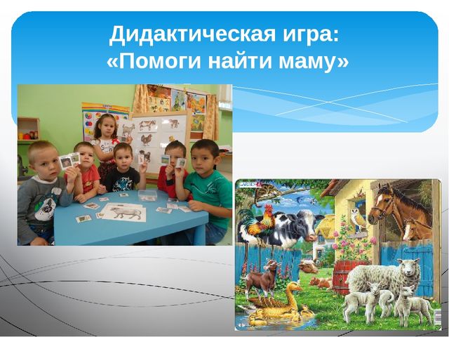 Презентация на тему "Домашние животные"