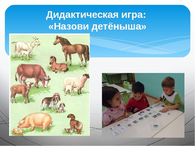 Презентация на тему "Домашние животные"