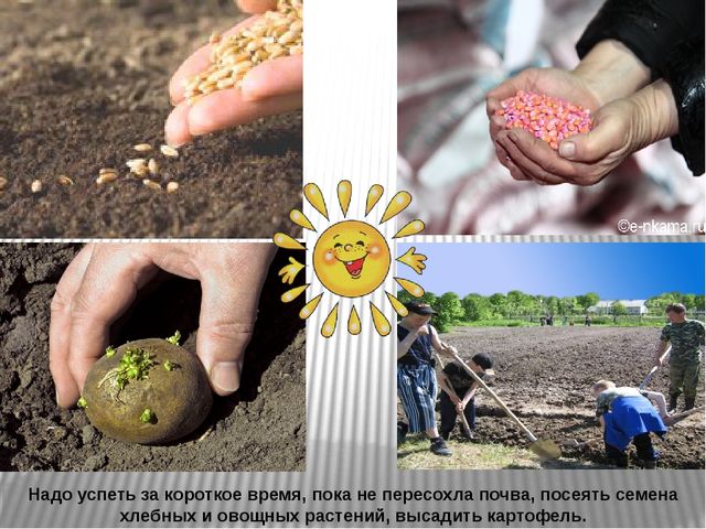 Презентация "Труд людей весной"