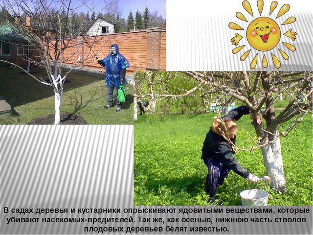 Презентация "Труд людей весной"