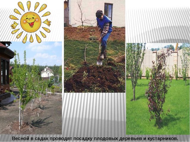 Презентация "Труд людей весной"