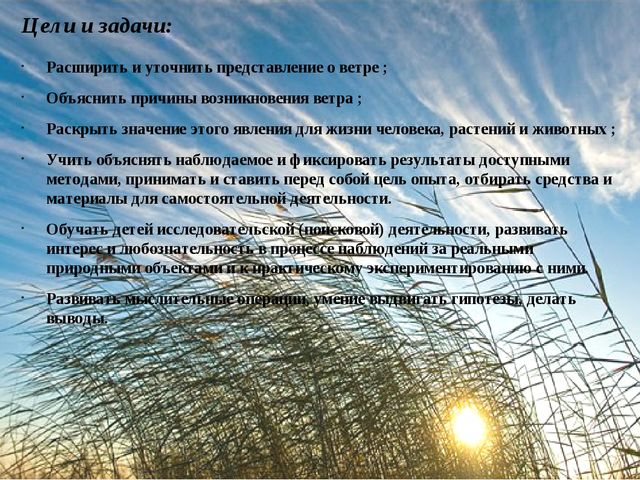 Детский исследовательский проект "Ветер, ветер, ветерок"