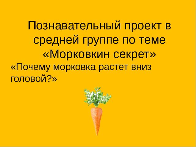 Познавательный проект в средней группе по теме «Морковкин секрет»
