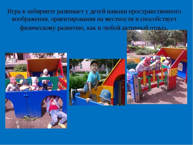 Презентация на тему "Лето-это маленькая жизнь!"