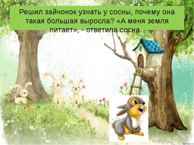 Презентация сказки "Как заяц вырастил морковку".