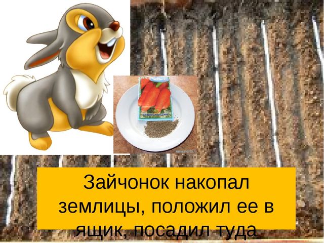 Презентация сказки "Как заяц вырастил морковку".