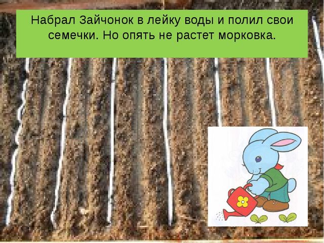 Презентация сказки "Как заяц вырастил морковку".