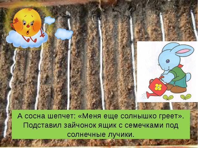 Презентация сказки "Как заяц вырастил морковку".